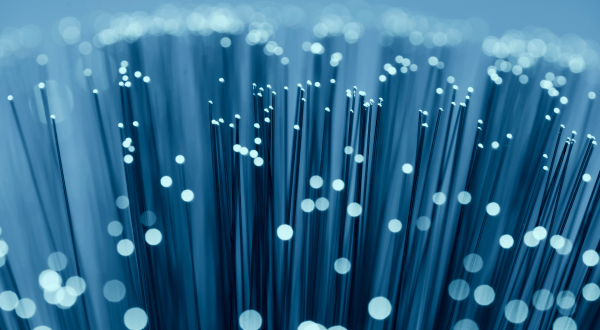 Numerous fiber optic cables with illuminated ends showcasing the technology of high-speed data transmission